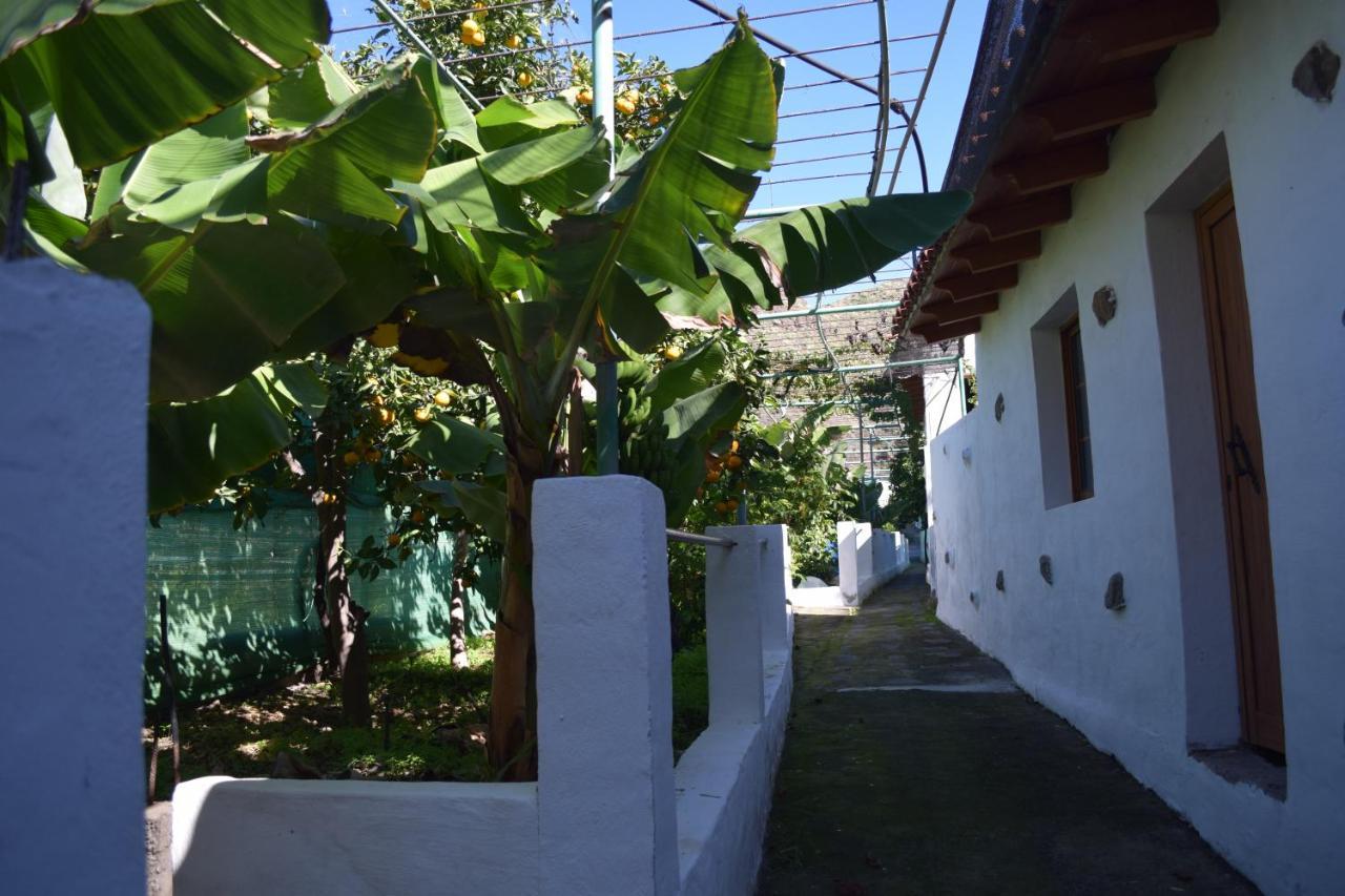 Apartament Casa Camino Tamadaba Agaete  Zewnętrze zdjęcie